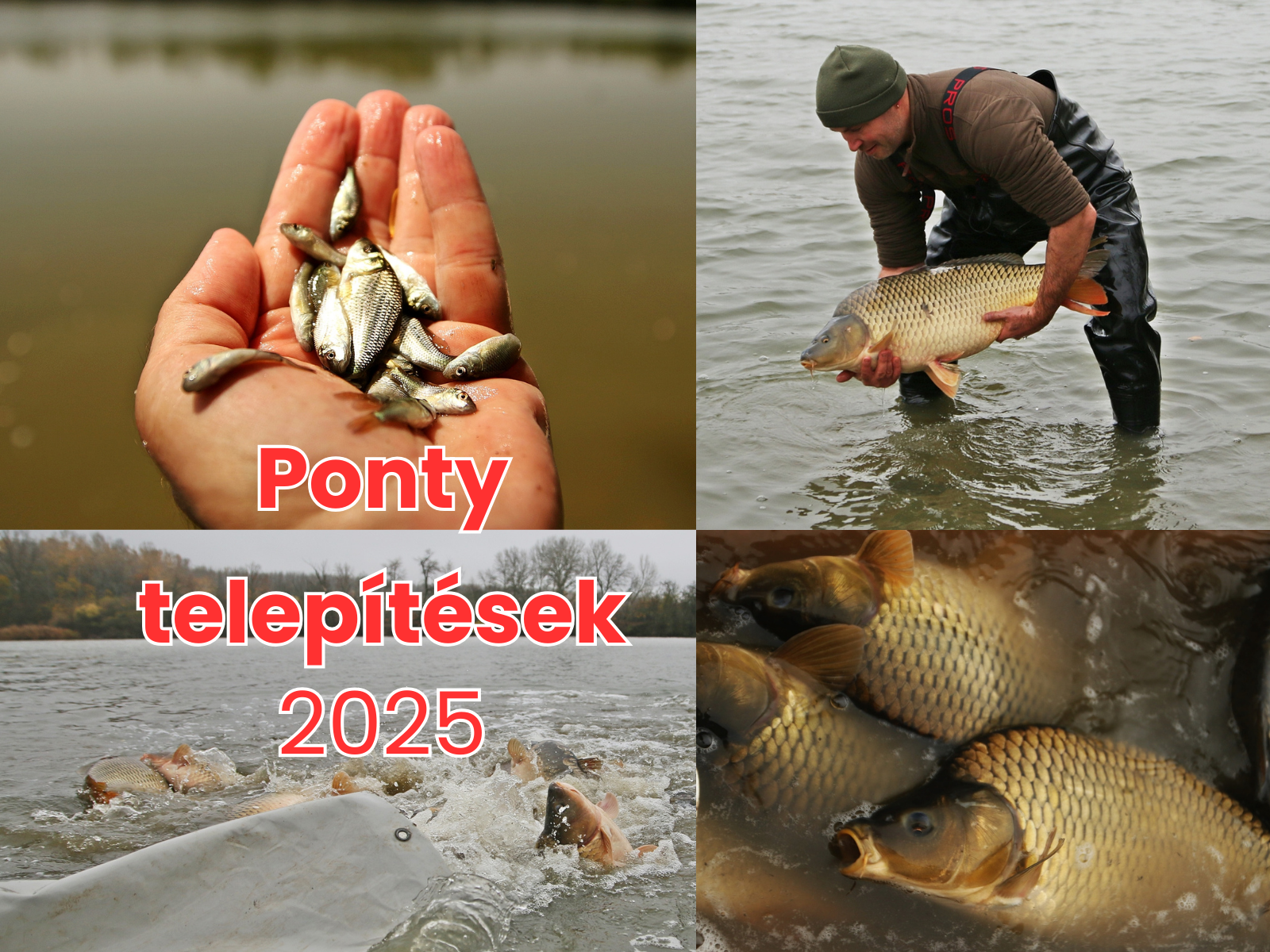 Pontytelepítések 2025-ben