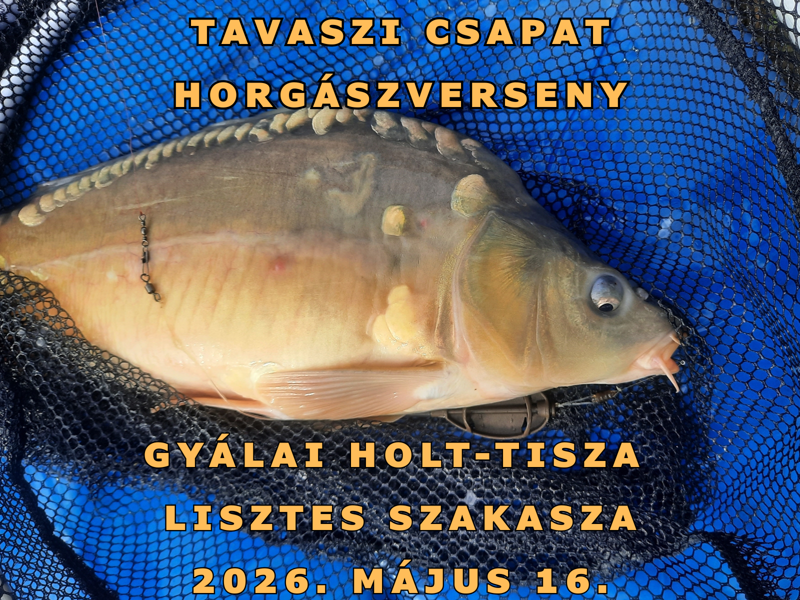 Tavaszi csapatverseny kiírás