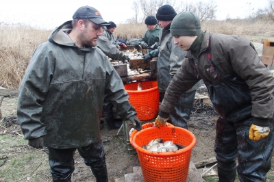 Megkezdődött a horgászok tógazdaságában a tavaszi lehalászás