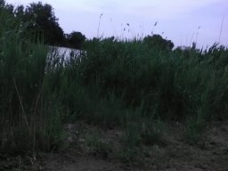 gyala_10