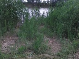 gyala_11