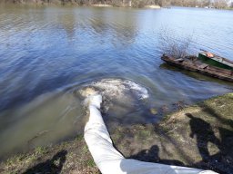 Tisza egynyaras kétnyaras ponty_5