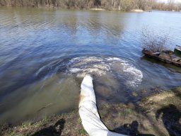 Tisza egynyaras kétnyaras ponty_6