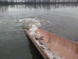 február 12.