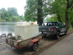 süllő_atka_martely_12