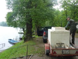 süllő_atka_martely_13