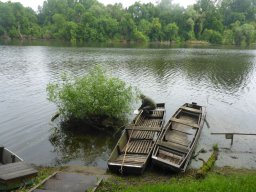 süllő_atka_martely_16