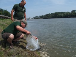 menyhal_tisza_5