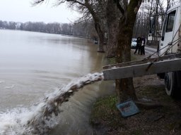 Tisza tavaszi ponty növendék_6