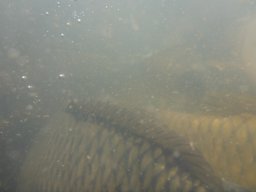 0416_P3_husvet_hecsmsz állóvizek_35