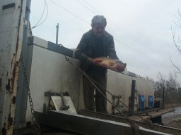 kora tavaszi ponty 3ny_11