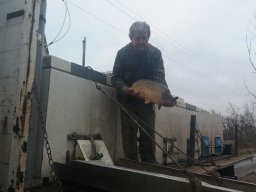 kora tavaszi ponty 3ny_12