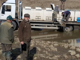 0226_1ny_szürke_folyók_6