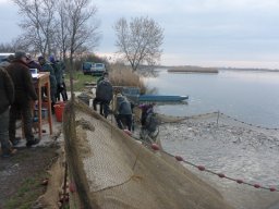 0314-15_2ny_ponty_hevizek_hecsmszvizek_1