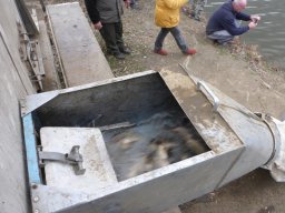 0314-15_2ny_ponty_hevizek_hecsmszvizek_45