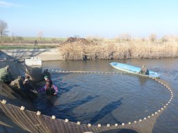 0323-24_P2_SZH3_Tisza_10