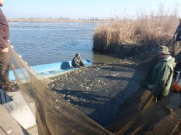 0323-24_P2_SZH3_Tisza_12