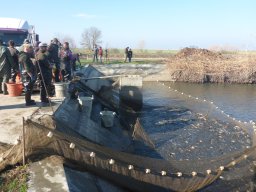 0323-24_P2_SZH3_Tisza_14