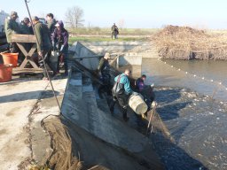 0323-24_P2_SZH3_Tisza_16