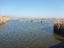 0323-24_P2_SZH3_Tisza_4