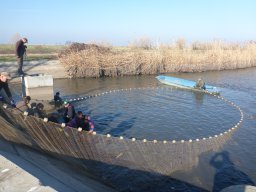 0323-24_P2_SZH3_Tisza_7
