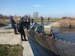 0323-24_P2_SZH3_Tisza_8