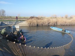 0323-24_P2_SZH3_Tisza_9
