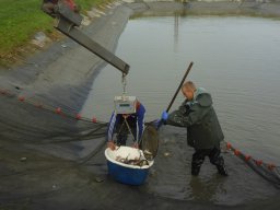 1106_C2_zárt vizek_5