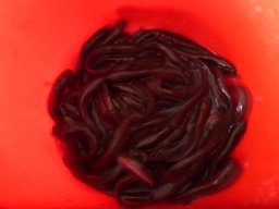 1024_M1_folyók_5