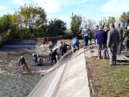 1008-10_zartvizek_4