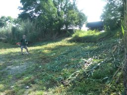 matyéri környezetvedelmi nap 2019 06 21_4