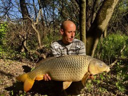 0420_ponty_TISZA_1
