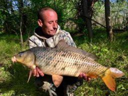 0421_ponty_TISZA_1