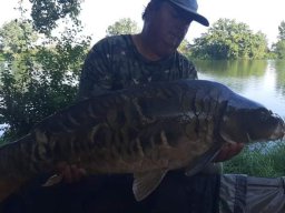 0820_carps_ATKA_JG_5