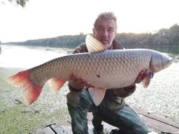 0127_amur_TISZA_1