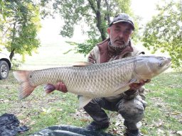 0127_amur_TISZA_1