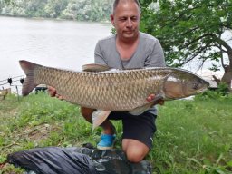 0127_amur_TISZA_1