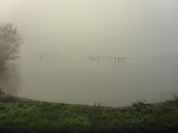 1108_S1_1