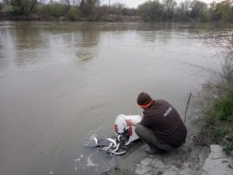 0417_K1_folyók_31