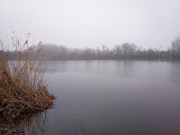 0202_P3_4