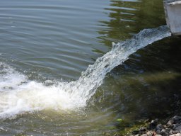 0708_BIVA_zárt_26