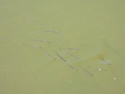 0708_BIVA_zárt_27