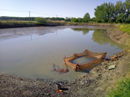 0521_Selo_HECSMSZ_2