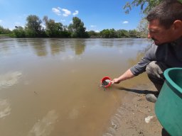 0508_MELŐ_Tisza-Maros_13
