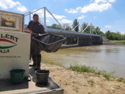 0508_MELŐ_Tisza-Maros_23