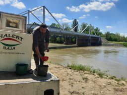 0508_MELŐ_Tisza-Maros_24