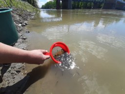 0508_MELŐ_Tisza-Maros_30