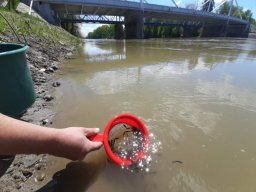 0508_MELŐ_Tisza-Maros_31