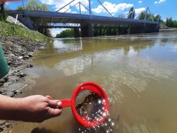 0508_MELŐ_Tisza-Maros_32