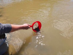 0508_MELŐ_Tisza-Maros_35